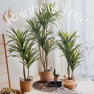 [size120พร้อมส่ง/อื่นๆPRE15วันค่ะ]🌿🌈RAINBOW TREE ต้นเข็มสามสีปลอม งานเหมือนจริงสวยมากๆ แต่งบ้านมินิมอล ดูดีไม่ซ้ำใคร