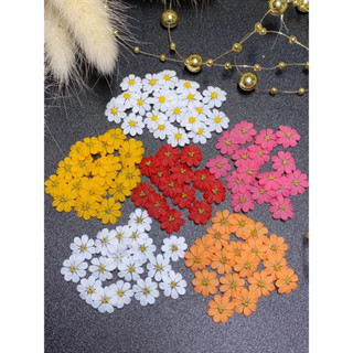 ดอกไม้ตกแต่งเล็บ(คู่ละ15-20บาท)ดอกไม้อะคิลิกตกแต่งเล็บอุปกรณ์ทำเล็บ