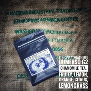 เมล็ดกาแฟคั่ว เอธิโอเปีย ETHIOPIA YIRGACHEFFE  DUMERSO G2 filter Coffee ไม่แต่งกลิ่น ไร้สารเคมี DUMERSO G2 filter