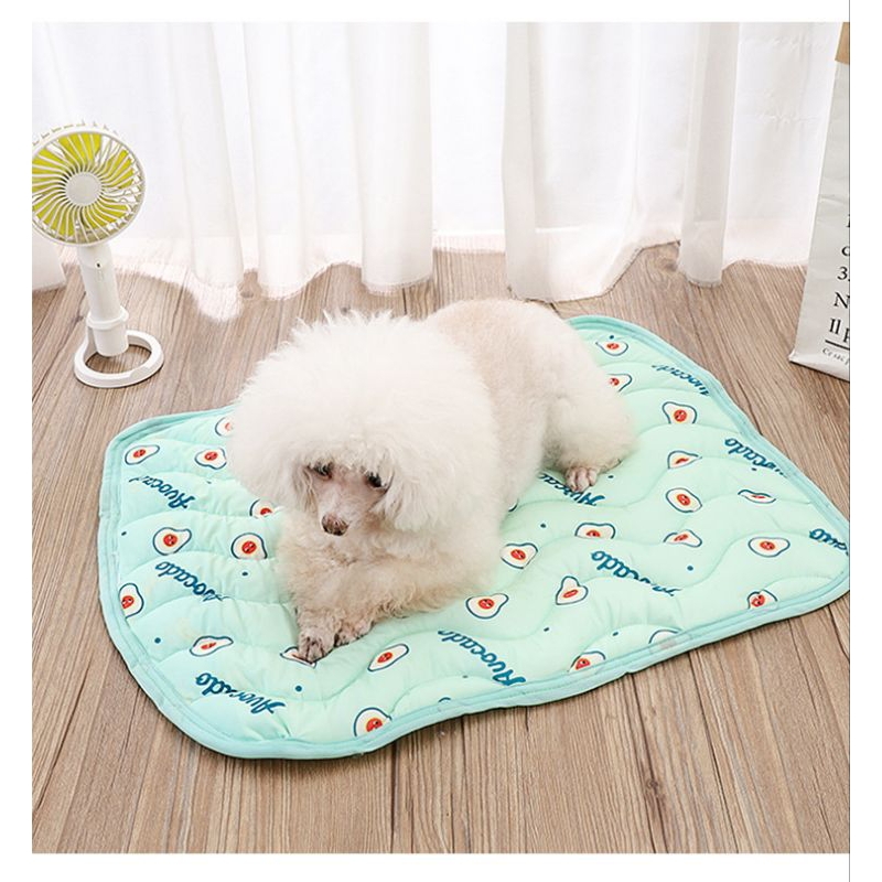 🌈Pet Coolmat แผ่นนาโน🌈 ที่นอนเย็น ไม่แอร์ก็เย็น ไม่ต้องแช่ตู่เย็น ที่นอนสัตว์เลี้ยง เบาะนอนเย็น