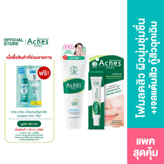 [Value Set] Mentholatum Acnes Creamy Wash 100g.+ Sealing Jell 18 g.