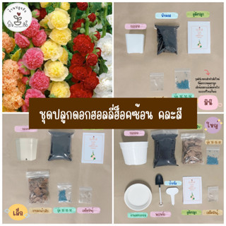 LXG : ชุดปลูกดอกฮอลลี่ฮ็อคซ้อน ฮอลลี่ฮ็อคดอกซ้อน (Hollyhock) ชุดพร้อมปลูกดอกฮอลลี่ฮ็อคซ้อน ชุดปลูกดอกไม้ มี 3 ขนาด