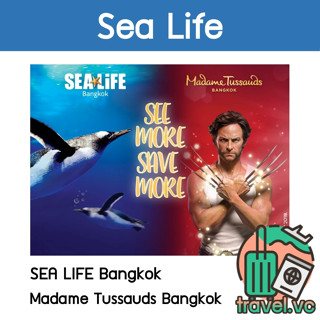 อันดับ1 ถูกที่สุด Sealife Ocean World บัตรเข้าชม สยามพารากอน (ซีไลฟ์ โอเชี่ยนเวิลด์)