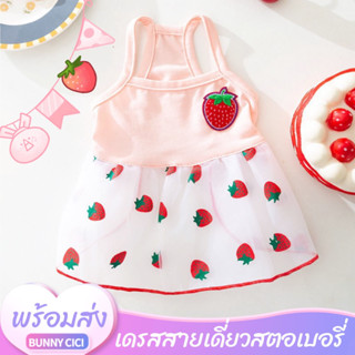 พร้อมส่ง!! เสื้อผ้าสุนัขลายสตอเบอรี่ ชุดกระโปงสุนัข เสื้อผ้าหมาและแมว ของใช้สัตว์เลี้ยง อุปกรณ์สัตว์เลี้ยง