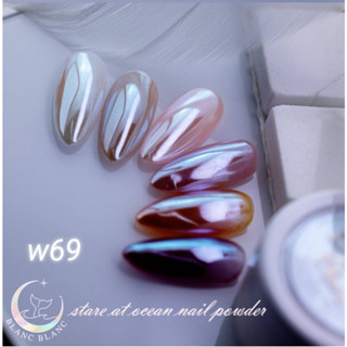 Blanc Blanc #W69 ผงขัดเล็บแบบกระปุก0.3g. สีพื้นแตกต่างกันจะให้effectต่างกัน Nail Mirror Powderของแท้จากเกาหลี🇰🇷พร้อมส่ง