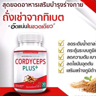 CORDYCEPS PLUS อาหารเสริมถั่งเช่าทิเบต 30 แคปซูล