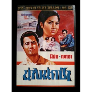 📀 DVD นางนกป่า (2509)