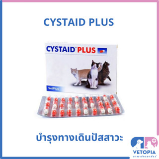 Cystaid plus 30 แคปซูล อาหารเสริมโปรตีนเสริมความแข็งแรงของกระเพาะปัสสาวะในแมว