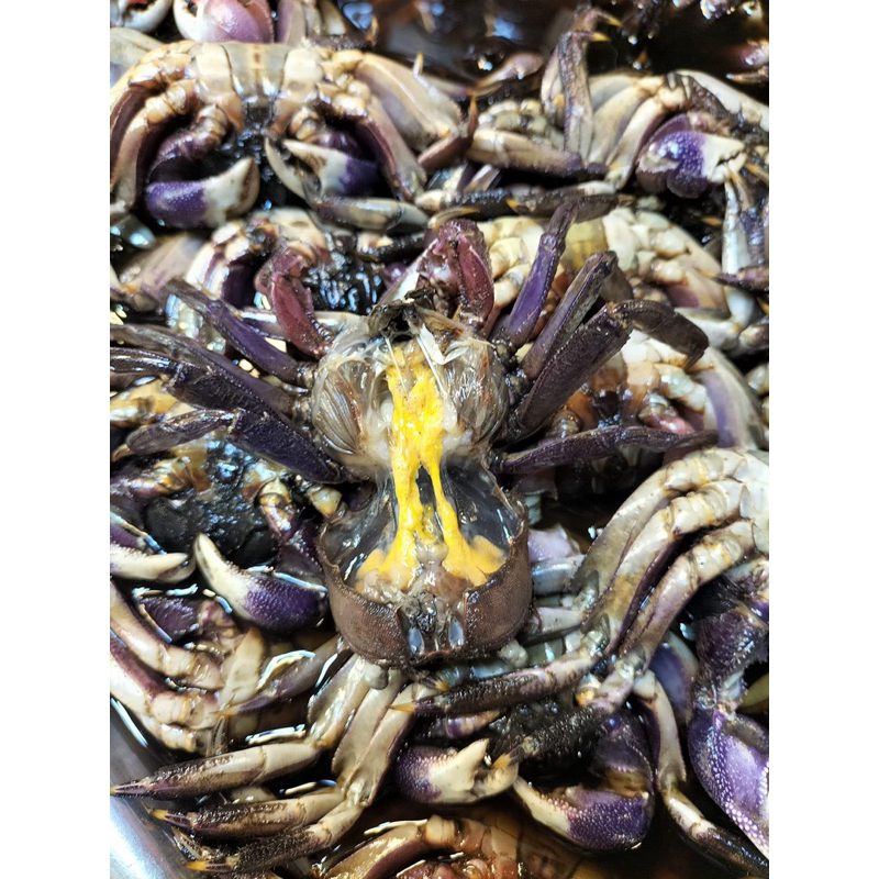 ปูดำดองน้ำปลากวนขนาดจัมโบ้ ไม่เค็มมาก ปูดอง ปูแสม ปูเปรี้ยว