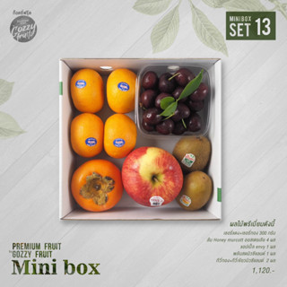 Premium fruit Mini box set 13