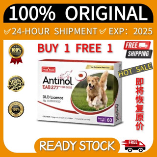 จัดส่งฟรี! Antinol dog 60 แคปซูล แพ็กเกจใหม่ อาหารเสริมโรคข้ออักเสบ 1 กล่อง 60 เม็ด เม็ด อาหารเสริมบำรุงข้อ ข้ออักเสบ