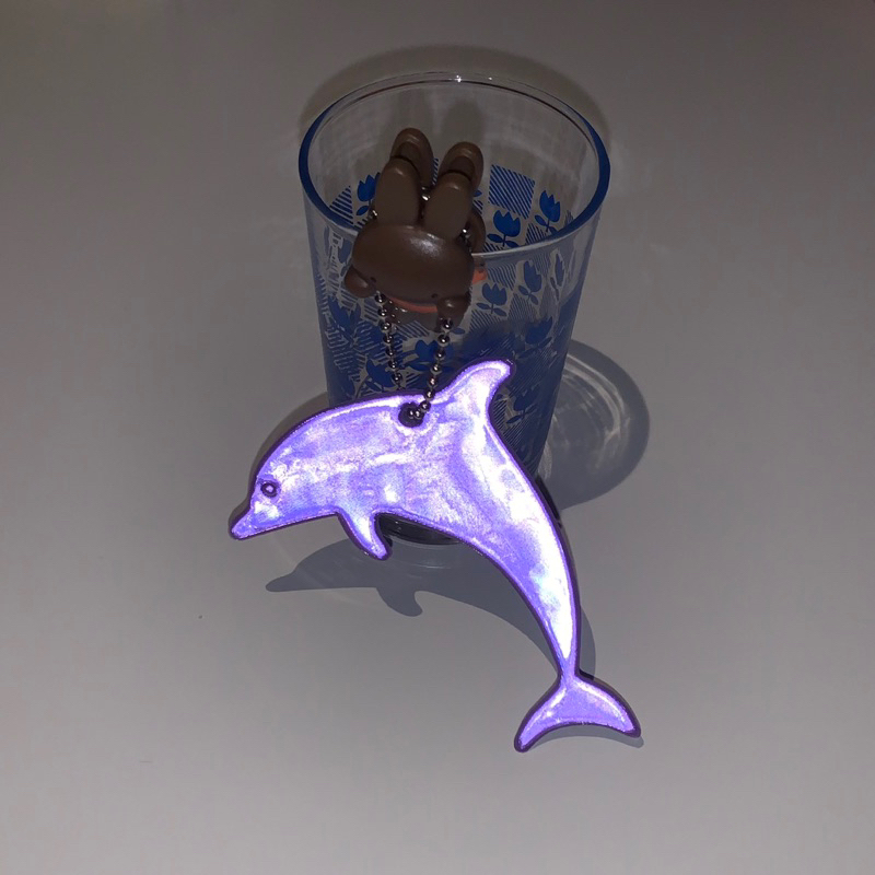 [ พร้อมส่ง ] พวงกุญแจโลมา dolphin keyring🐬
