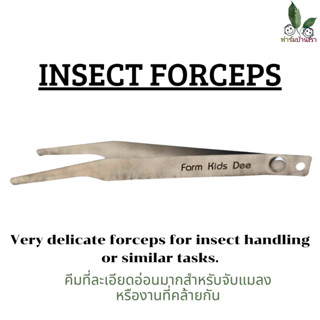 INSECT FORCEPS คีมหนีบแมลง คีมที่ละเอียดอ่อนมากสำหรับจับแมลง แมลงหางหนีบ ไส้เดือน ไข่ไส้เดือน ผีเสื้อ