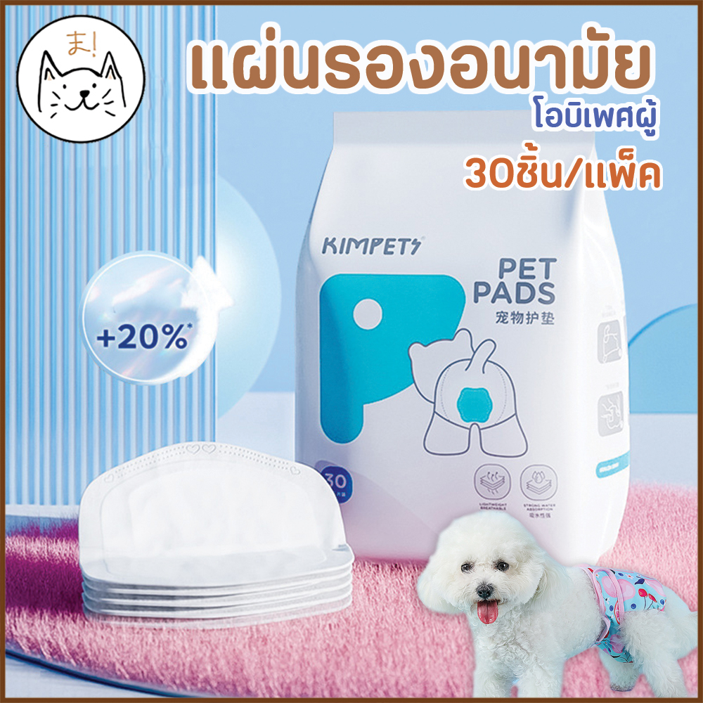 KUMAま (30ชิ้น/แพ็ค) แผ่นรองอนามัย แผ่นรองโอบิ ผ้าอ้อมสุนัข เพศผู้ แพมเพิส หมา ผ้าอ้อมอนามัย