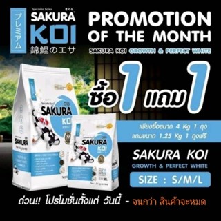 💥 SAKURA KOI 💥 1 แถม 1 ..อาหารปลาคาร์ฟซากุระโค่ย สูตรเร่งโต&amp;เร่งขาว ซื้อ 4 กก. 1 ถุง. แถมถุง 1.25 กก.