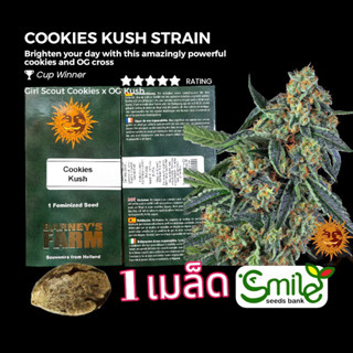 เมล็ดกัญชา Cookies Kush (Fem) Winner Cup* - Barney’s Farm