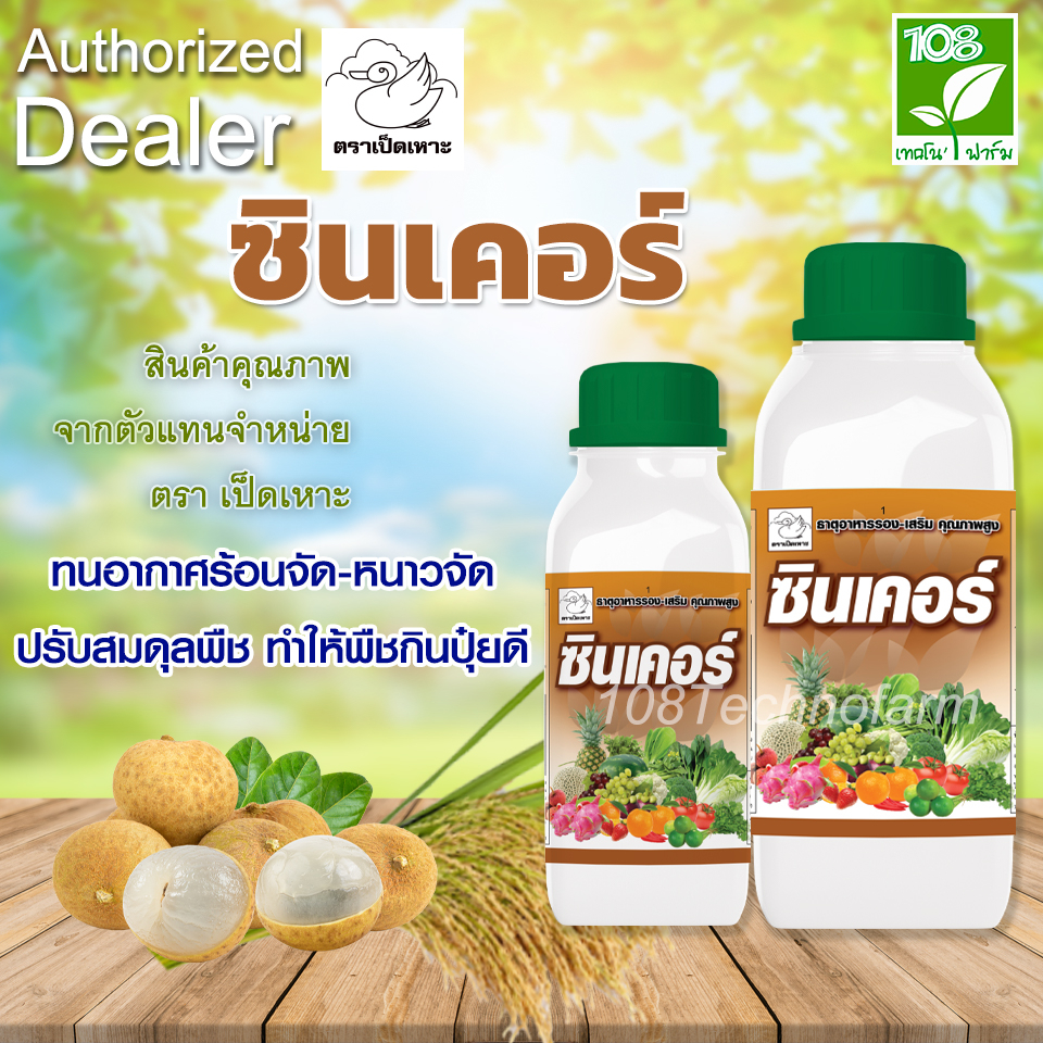ทนอากาศร้อนจัด-หนาวจัด ปรับสมดุลพืช ซินเคอร์
