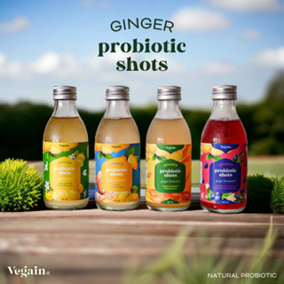 VEGAIN GINGER PROBIOTIC SHOT เครื่องดื่มขิงหมักโพรไบโอติกช็อท ปรับสมดุลลำไส้ ขับแก๊ซ 1 ขวด 180ML. แพ็ค6/12