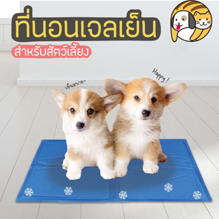 ที่นอนเจลเย็น สำหรับสัตว์เลี้ยง แผ่นทำความเย็น (Pat Cool mat)แผ่นเจลเย็นแผ่นทำความเย็น