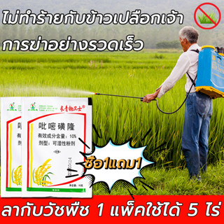 🌾 กำจัดวัชพืชในนาข้าวได้ 99% 🌾 ยาฆ่าหญ้า สารกำจัดวัชพืช ยาฆ่าหญ้าในนาข้าว ใช้กำจัดวัชพืชใบแคบหลังงอก ไร้สารเคมี