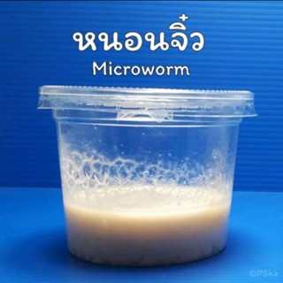 หนอนจิ๋วMicroworm:อาหารลูกปลา