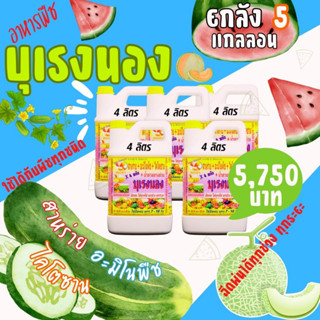 พร้อมส่ง💯 บุเรงนอง ยกลัง 5 แกลลอน ขนาด 4 ลิตร อะมิโนพืช+สาหร่าย+ไคโตซาน+น้ำตาลทางด่วน อาหารพืช ใช้ฉีดพ่นทางใบ มะละกอ