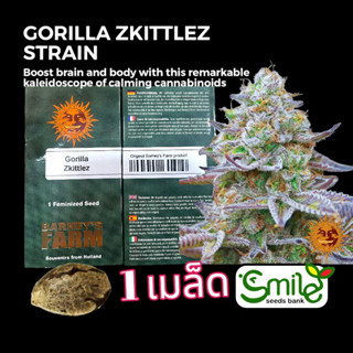 เมล็ดกัญชา Gorilla Zkittlez (Fem) - Barney’s Farm