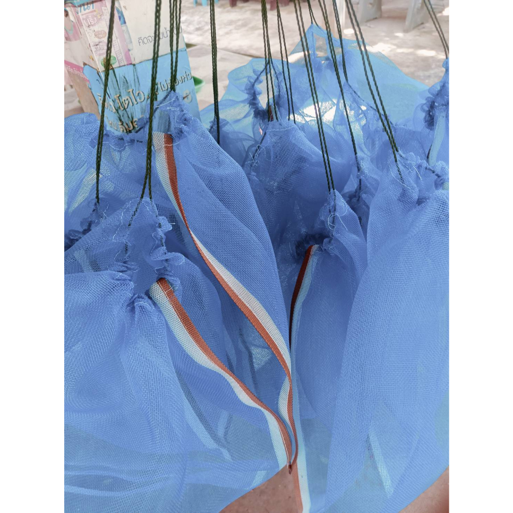 ถุงตาข่าย สีฟ้าอย่าดี สำหรับใส่กบ เขียด ปลา ราคาถูก อย่างดี ราคาถูก Shopee Lazada