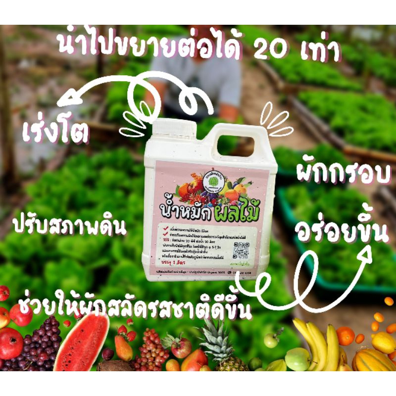 น้ำหมักผลไม้ เพิ่มความหวานให้ผัก