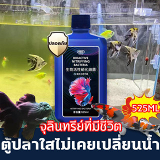 🐠ภูมิคุ้มกันขึ้น จุลินทรีย์บ่อปลา จุลินทรีย์น้ำใสบ่อปลา  น้ำยาปรับสภาพน้ำตู้ปลา จุลินทรีย์ปรับสภาพน้ำใส ดูแลสุขภาพปลา