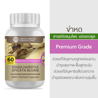 ข่าหด Engelhardia Spicata Blume Herb Capsule 100% (เกรดพรีเมี่ยม) ข่าหดผง 60 แคปซูล