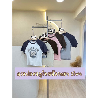 เสื้อครอปน้องหมา แขนทูโทน