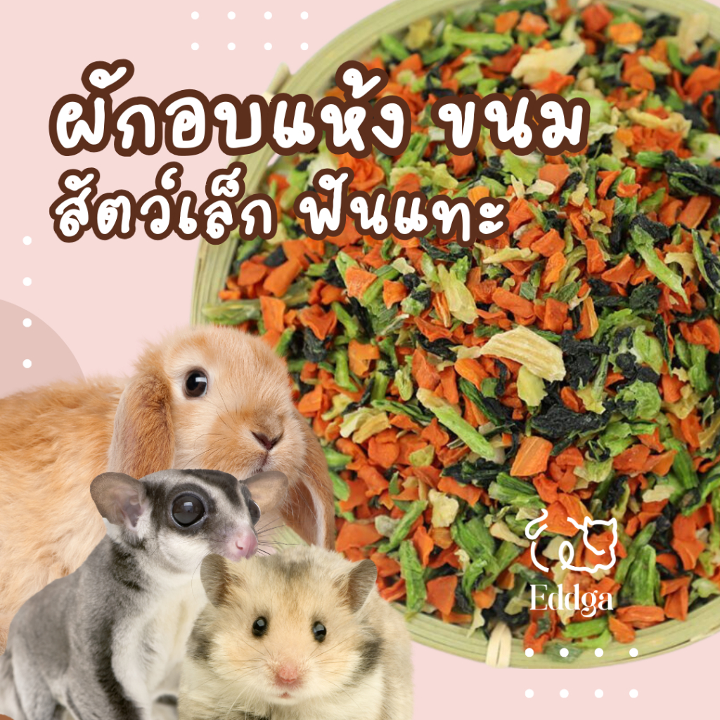 ขนมผัก ผักอบแห้ง ขนมสัตว์เล็ก ขนมสัตว์ สัตว์เล็ก ฟันแทะ กระต่าย หนูแฮมส์เตอร์ ชูก้า หนูตะเภา แกสบี้ พร้อมส่งจากไทย