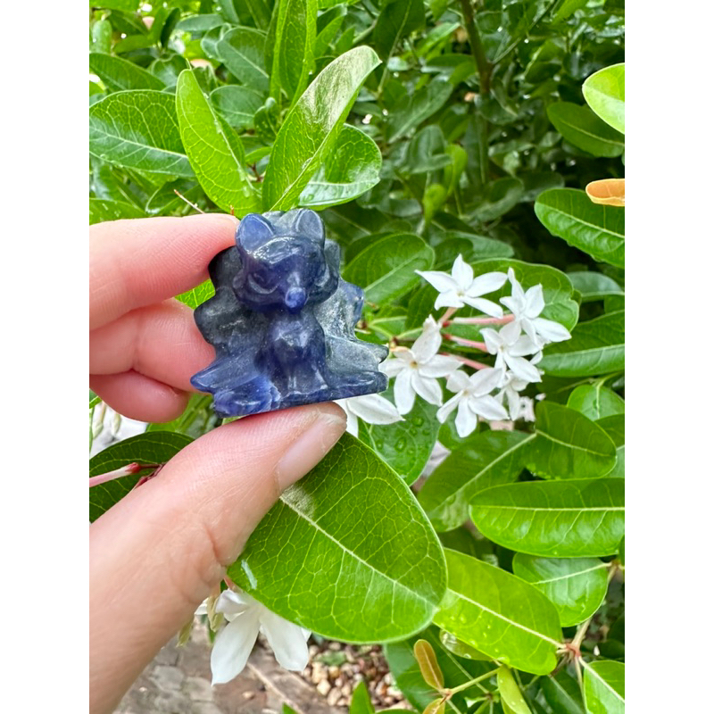 Nine Fox Tails Sodalite