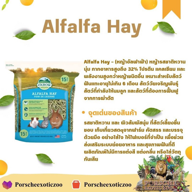หญ้าอัลฟาฟ่า Alfalfa Hay Oxbow