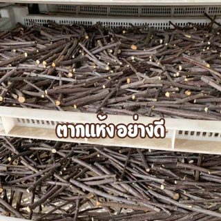 พร้อมส่ง จากไทย 🇹🇭 ไม้แอปเปิ้ล กิ่งไม้ กิ่งแอปเปิ้ล apple stick สำหรับ กระต่าย หนูแกสบี้ สัตว์ฟันแทะ ชูก้า