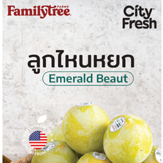 CityFresh ลูกไหนหยก พลัมคอต Emerald Beaut ผลไม้นำเข้า