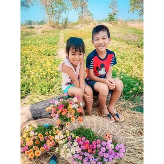 คุณนายตื่นสาย50สี คละสี กิโลละ80บาท ฉลองเปิดร้านใหม่💥🏵️🌹🌸🌺