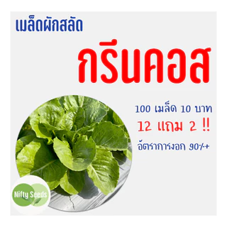 เมล็ดสลัด กรีนคอส 100 เมล็ด 10 บาท งอกดีมีคู่มือในการปลูก
