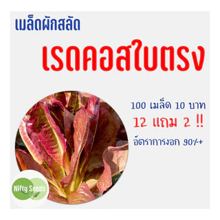 เมล็ดสลัด เรดคอสใบตรง 100 เมล็ด 10 บาท งอกดีมีคู่มือในการปลูก