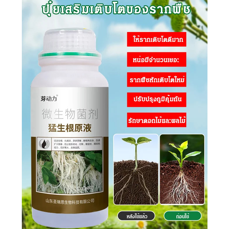 [COD] ปุ๋ยเสริมเติบโตของรากพืช ปุ๋ยน้ำเร่งราก สำหรับพืช น้ำต้นเหตุการณ์รากแข็งแรงสำหรับการกระตุ้นการเจริญเติบโตและเสริมร