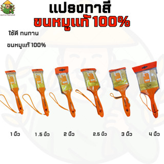 แปรงทาสีขนหมูธรรมชาติแท้100% พร้อมด้ามไม้ รุ่นยอดนิยม แปรงทาสีบ้าน มีขนาด1นิ้ว 1.5นิ้ว 2นิ้ว 2.5นิ้ว 3นิ้ว 4นิ้ว