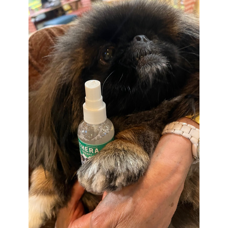 สเปรย์ลดเชื้อแบคทีเรียในปากสุนัขแมว ลดเชื้อที่ก่อให้เกิดโรคร้าย ช่วยดับกลิ่นปาก ลดอาการฟันผุ ขจัดคราบจากสารสกัดธรรมชาติ - รูปที่ 4