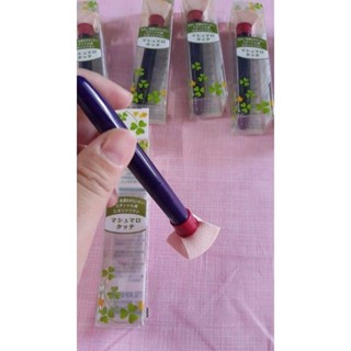 ฟองน้ำ สำหรับระบายสี made in japan
