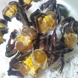 ปูนาดองน้ำปลากวนอร่อยไม่เค็ม