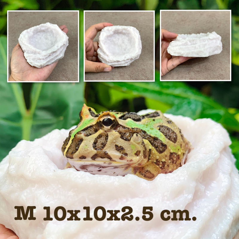 บ่อน้ำตกแต่งตู้เลี้ยงสัตว์ ถาดอาหารสัตว์ - รูปที่ 4