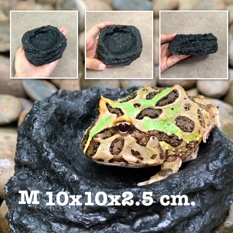 บ่อน้ำตกแต่งตู้เลี้ยงสัตว์ ถาดอาหารสัตว์ - รูปที่ 6