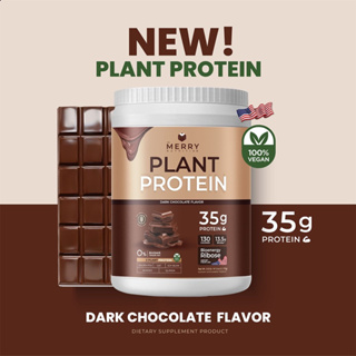 Merry Plant Protein โปรตีนพืช 5 ชนิด : รส Dark Chocolate Flavor 1 กระปุก 2.3lb. / 1,050g. [ 20 Servings ]