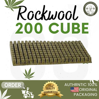 Rockwool 200 cubes ร็อควูลก้อนสำหรับเพาะปลูกต้นกล้า เมล็ดพันธ์ุ เพาะชำ