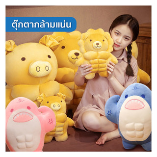 ตุ๊กตากล้ามแน่น ไซส์ 30cm และ 50cm | six pack แน่นๆให้ได้นอนหนุน หมู หมี สิงโต